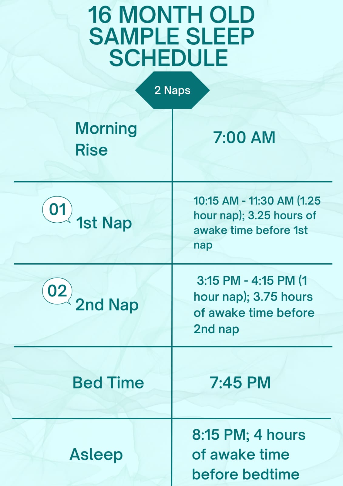 16 month old nap schedule